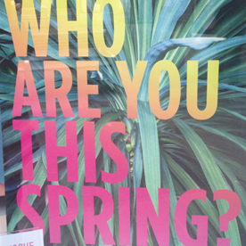 Who are you this spring? Title of a call for entries on what-ifblog.net